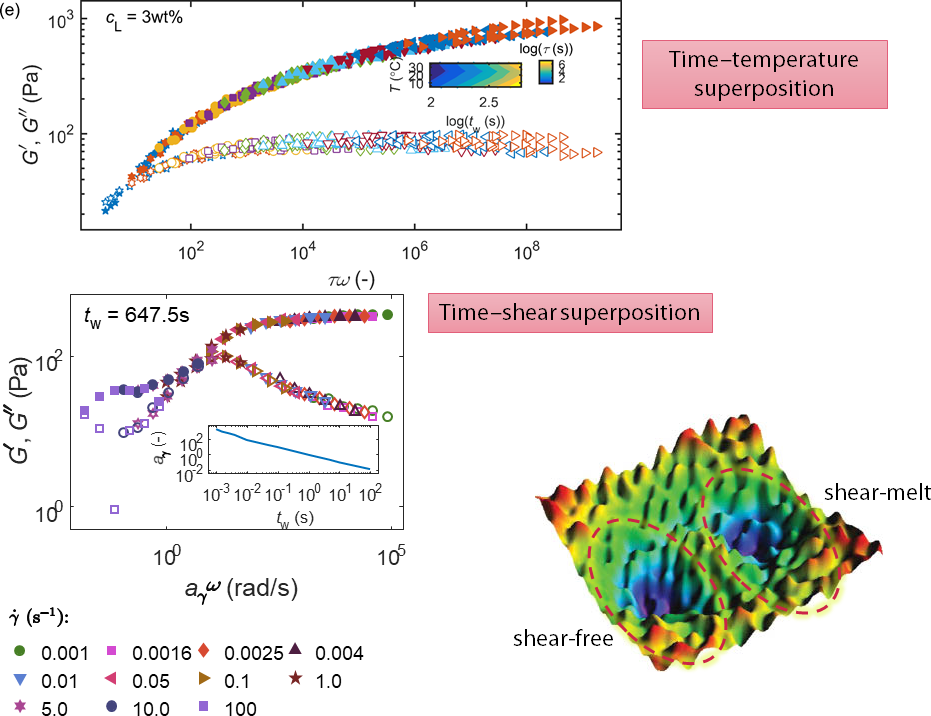 Responses of different non-ergodic states under shear melting or shear free conditions