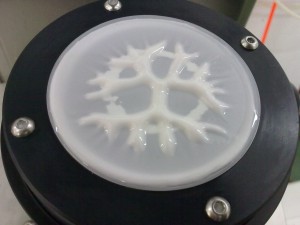 黑妹牙膏的Saffman-Taylor fingers