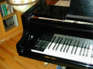 BösendorferImperial的额外键