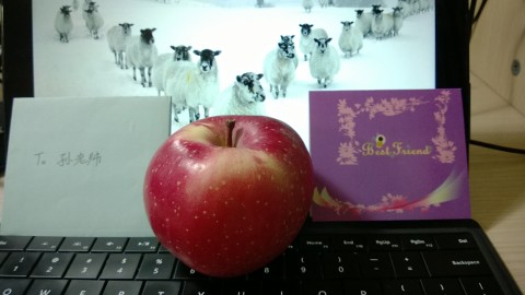 Fröhliche Weihnachten