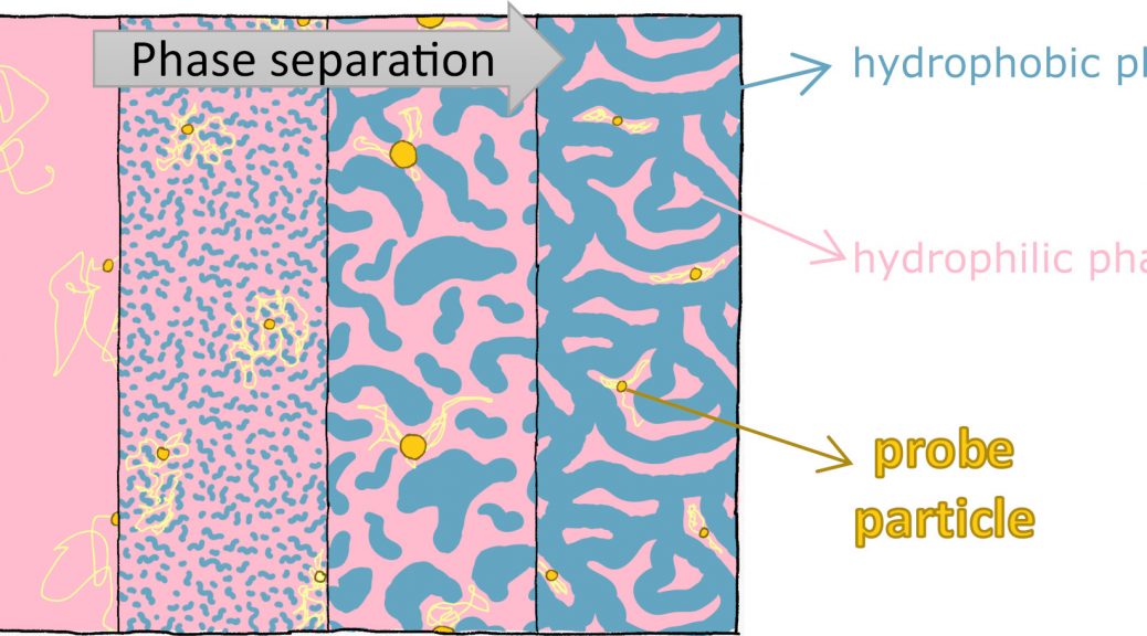 粒子示踪微流变