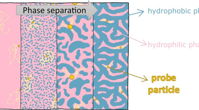 新论文：Dynamical heterogeneity in the gelation process of a polymer solution with a lower critical solution temperature