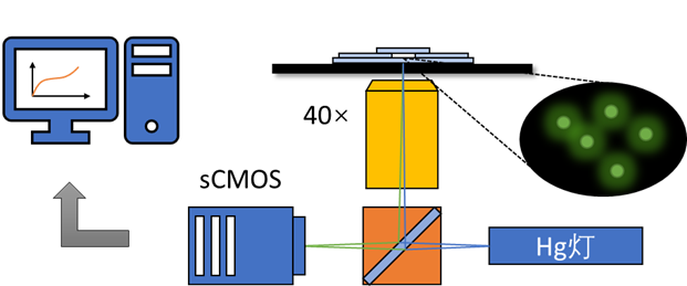 Instrument setup of particle tracking microrheology