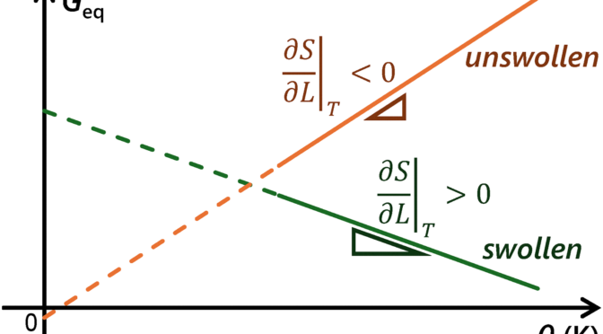 New paper: Equilibrium thermomechanics of swollen polymer networks